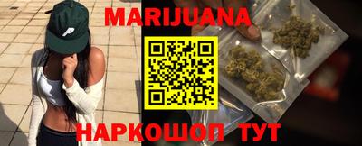 тгк Бийск