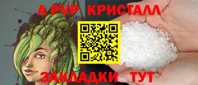 тгк Бийск