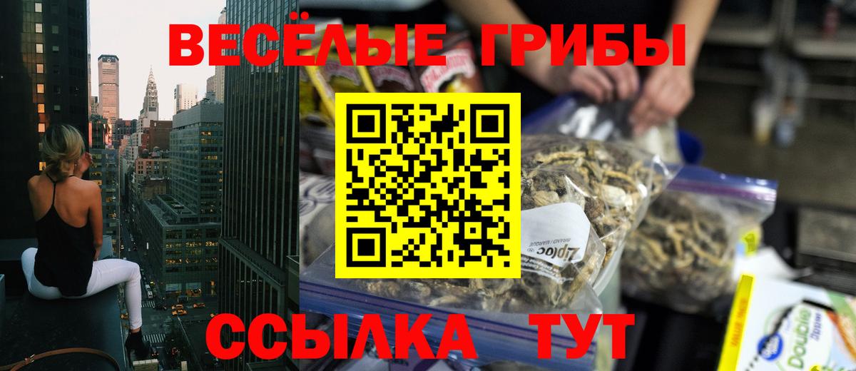 Галлюциногенные грибы Psilocybine cubensis Казань