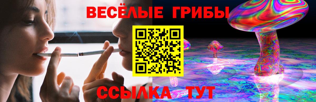 Псилоцибиновые грибы GOLDEN TEACHER  Галлюциногенные грибы мицелий  Казань  Вход с VPN 